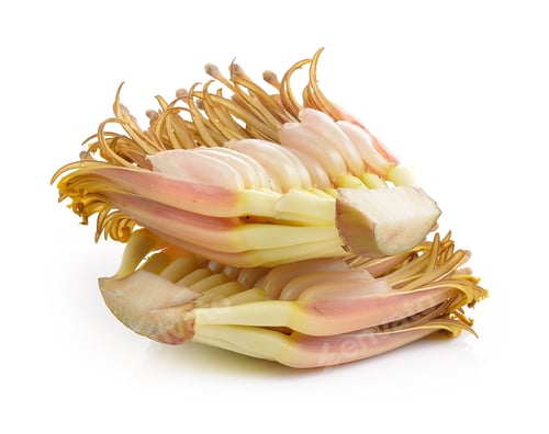 Preview: banana blossom isolated on a white background