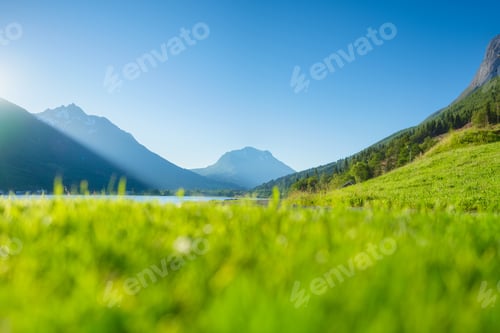 Preview: Nature. View of a mountain valley and a field with fresh grass. Beautiful summer view.