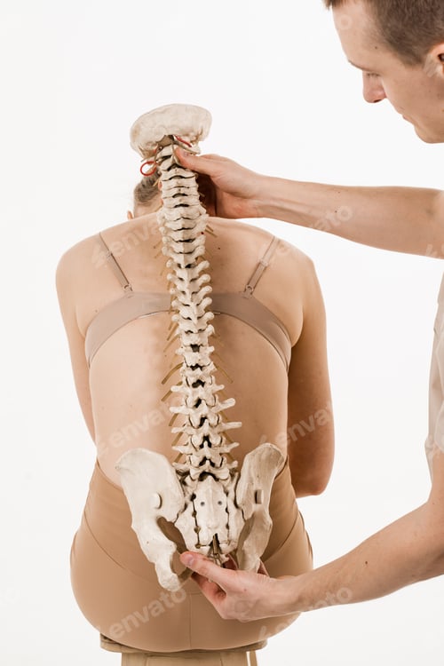 Preview: Orthopedist demonstrating spinal curvature with backbone model