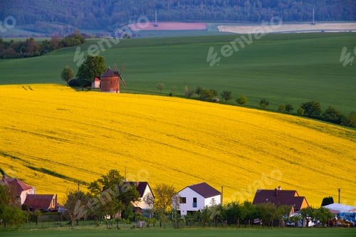 Preview: Gorgeous rural landscape with green sunny spring hills. South Moravia region, Czech Republic