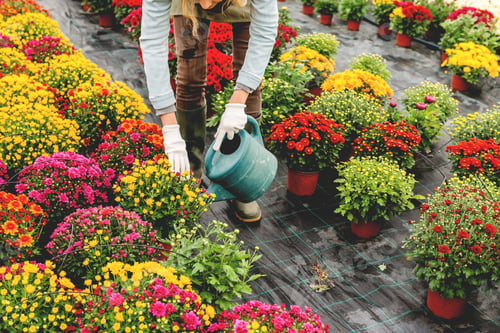 Regando las flores
