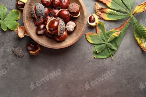 Preview: Horse chestnuts and leaves on grey table, flat lay. Space for text