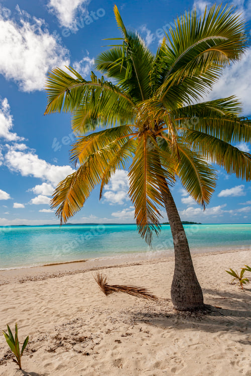 Preview: Aitutaki - Cook Islands - South Pacific Ocean