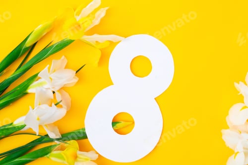 Preview: Mimosa flowers on yellow background
