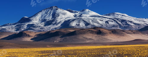 Preview: Northern Chile