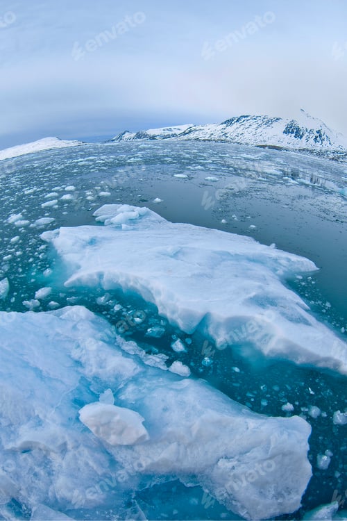 Preview: Drift floating Ice, Albert I Land, Norway