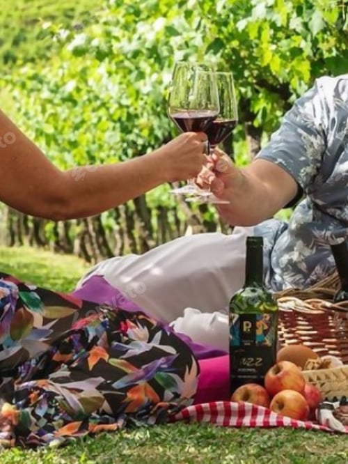 Preview: A toast with red wine