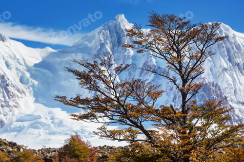 Vorschau: Herbst in Patagonien