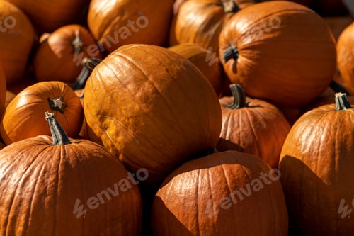 Preview: Pumpkins