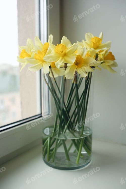 Preview: Yellow Daffodils in Glass Vase by the Window