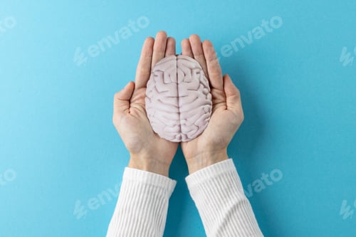 Preview: Composition of hands holding brain on blue background with copy space