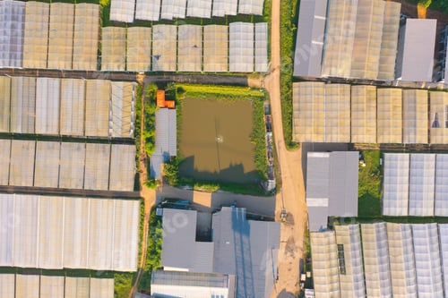 Preview: Fresh paddy rice, green agricultural field in countryside or rural area in Asia. Nature landscape.