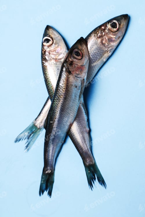 Preview: Delicious fish