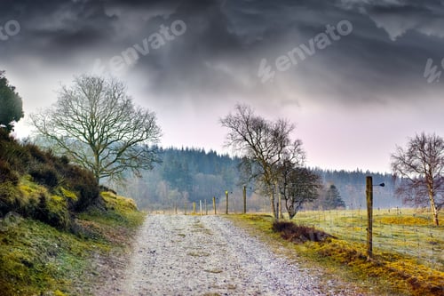 Preview: Lowland - Rebild National Park