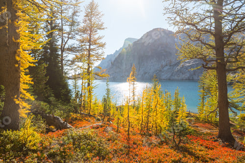 Preview: Alpine lake