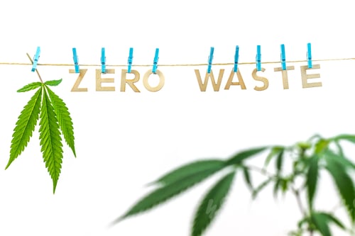Preview: Hemp is eco friendly, zero waste