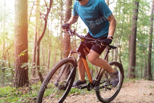 Preview: young mountain biker climbs uphill in a forest