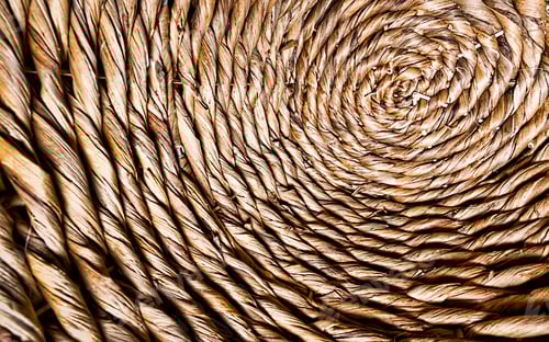 Preview: Into the basket