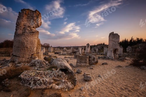 Preview: Stone forest