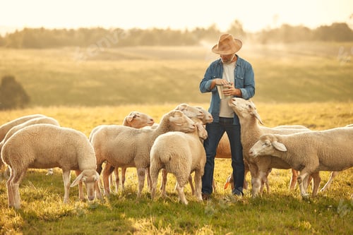 Preview: Mature couple working on the farm