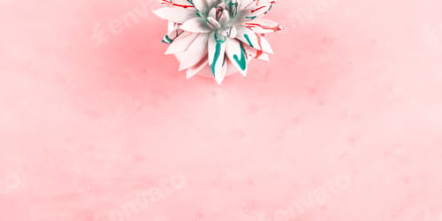 Preview: Painted succulent on pink textured background.