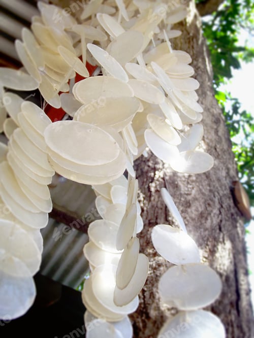 Preview: Capiz shell wind chimes
