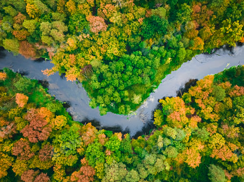 Preview: River and colorful forest in autumn. Aerial view of wildlife
