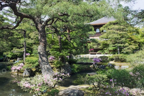 Preview: Japanese Garden and Pond