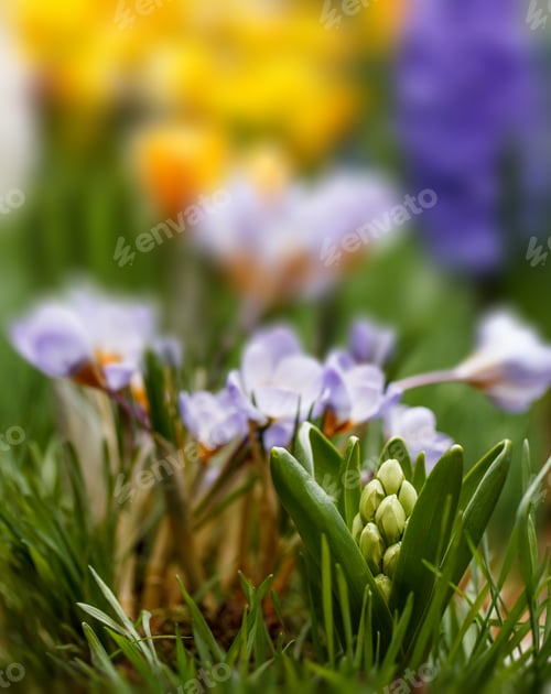 Preview: Spring is coming