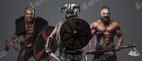 Preview: Three furious vikings from past against gray background
