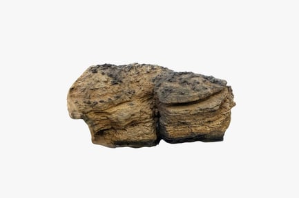 Preview: Eroded Limestone Boulder, Coastal Rock Formation