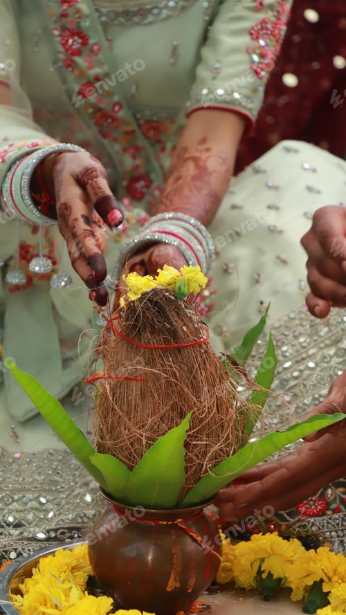 Preview: Wedding couple holding a coconut in their hands for traditional ritual