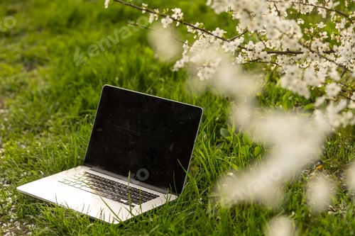 Preview: Working at home garden, laptop surrounded with green leafy potted plants, front view of the screen