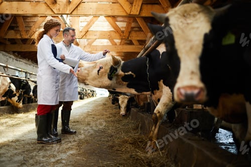 Preview: Farmers in kettlefarm