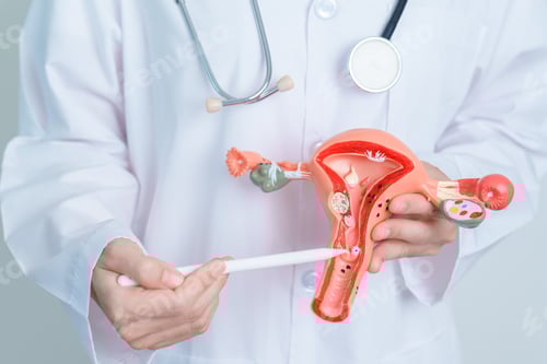 Preview: Doctor Explains Anatomy Model With Stethoscope