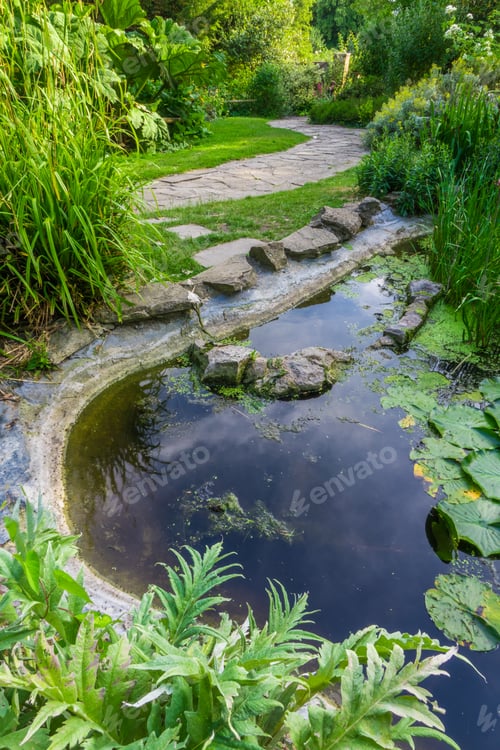 Preview: Water pond in a park