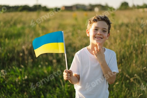 Preview: Ukrainian child boy in white t shirt with yellow and blue flag of Ukraine in field.