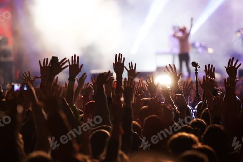 Preview: crowd at concert - summer music festival