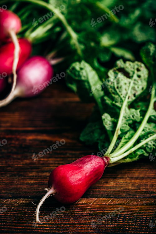 Preview: Homegrown red radish