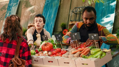 Preview: Diverse team of vendors helping clients with organic bio products