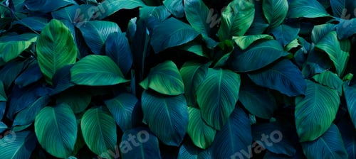 Preview: Tropical green leaf background