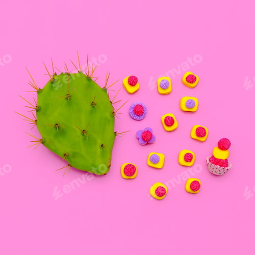 Preview: Candy and Cactus Sweet Lover. Minimal Fashion Flatlay