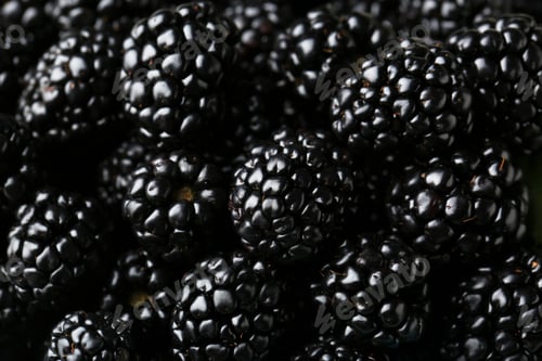 Preview: Pile of tasty ripe blackberries as background, closeup