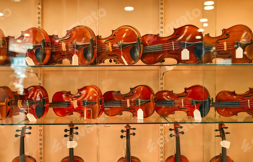Preview: In a musical instrument store