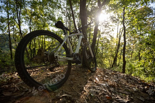 Preview: Mountain biking in spring forest