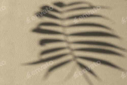 Preview: Shadows nature beige gray background