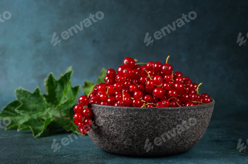 Preview: Red currant on grey table. Summer harvest. Natural antioxidant. Vitamin C