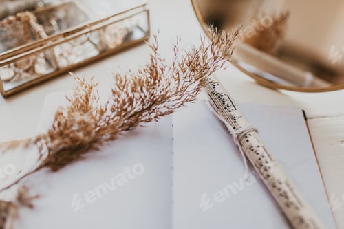 Preview: Notebook and notes