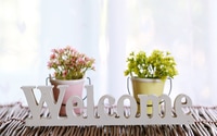 Preview: Flower potted plant decoration with white wooden "welcome" word on table indoor blur white curtain