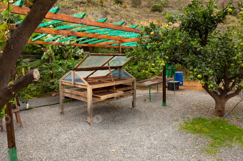 Preview: Environmental Photo of Organic Coffee Beans Drying In Crates in Plantation
